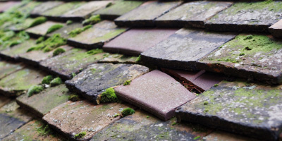 Chigwell roof repair costs